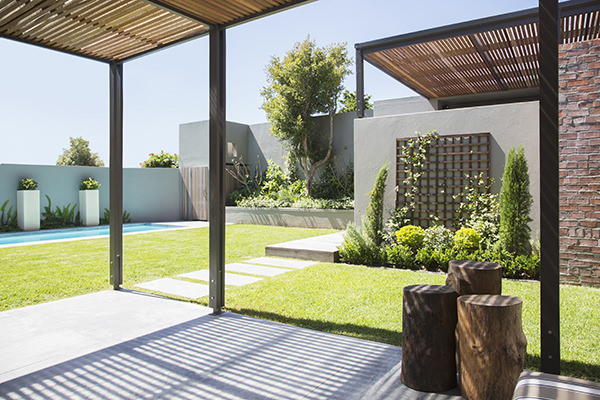 Large sunny modern backyard